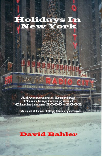 View Holidays In New York by David Bahler