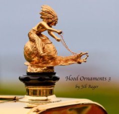Hood Ornaments 3 book cover