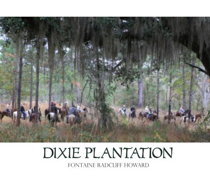 Dixie book cover