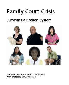 Family Court Crisis book cover