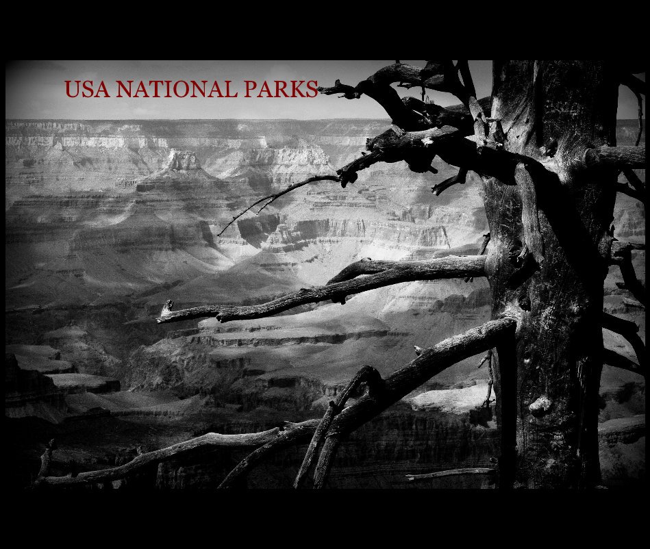 View USA NATIONAL PARKS by ROBERTO PICATTO