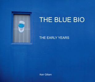 The Blue Book book cover