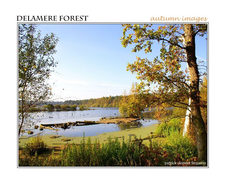 Ver delamere forest autumn images por patrick clement ferguson