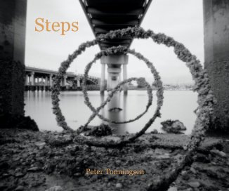 Steps book cover