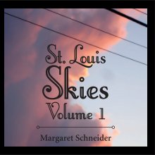 St. Louis Skies, Volume 1 (Paperback) book cover
