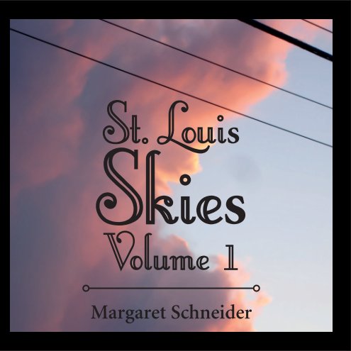 View St. Louis Skies, Volume 1 (Paperback) by M.J. Schneider