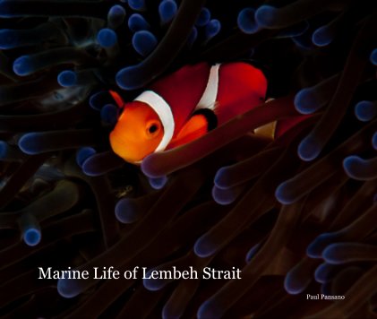 Marine Life of Lembeh Strait book cover