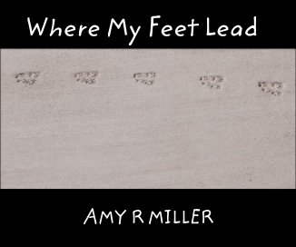 Where My Feet Lead 2 book cover