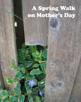 A Spring Walk on Mother's Day book cover
