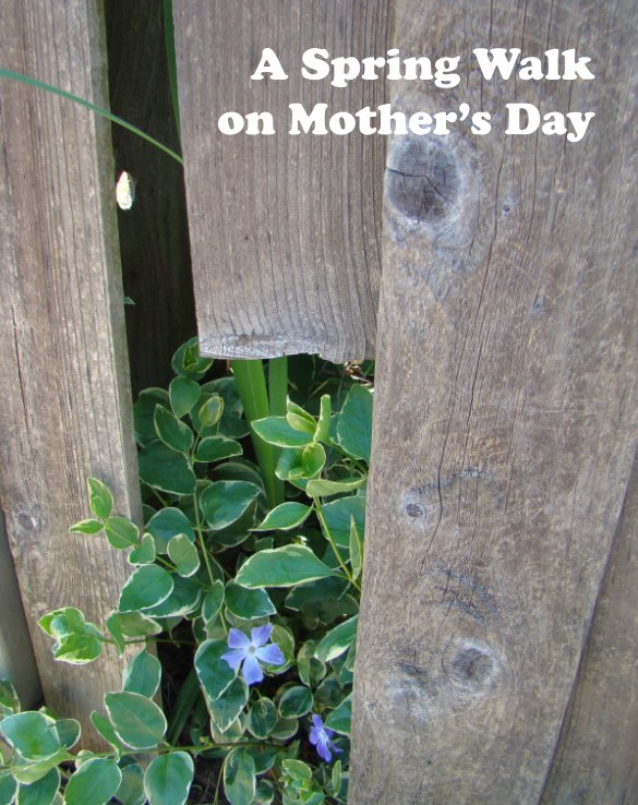 Ver A Spring Walk on Mother's Day por Peyto.