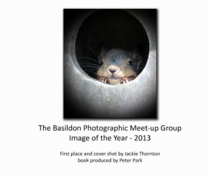 Image of the Year - 2013 book cover