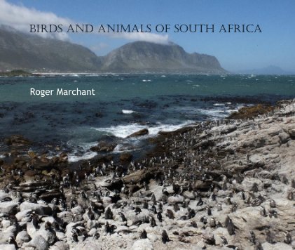 Birds and Animals of South Africa book cover