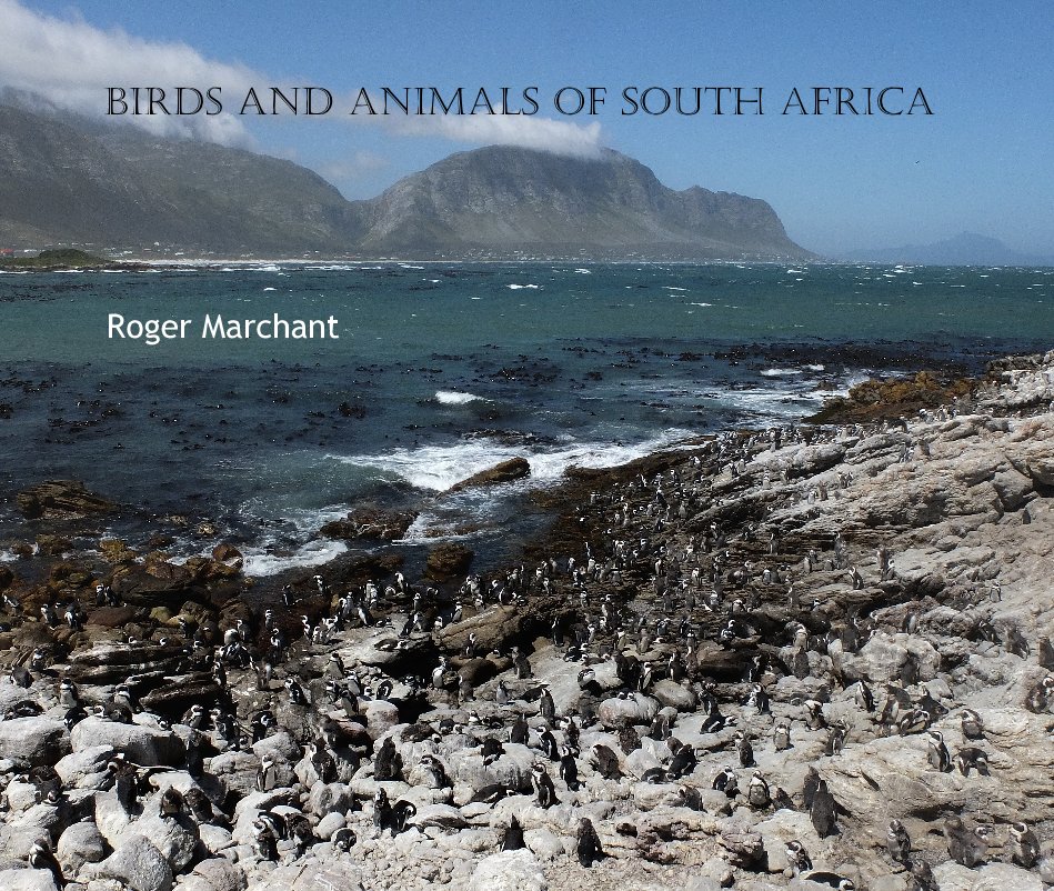 View Birds and Animals of South Africa by Roger Marchant