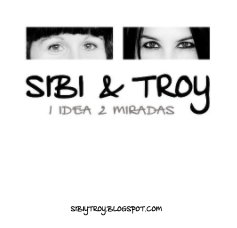 Sibi&Troy {2013} book cover