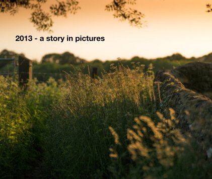 2013 - a story in pictures book cover