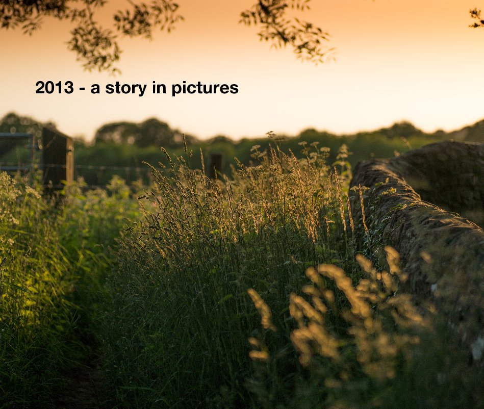 Ver 2013 - a story in pictures por andycutler