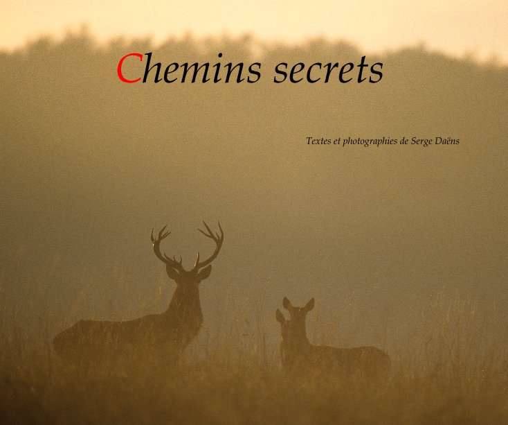 View Chemins secrets by Serge Daëns