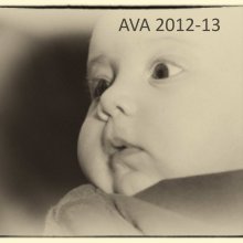 AVA 2012-13 book cover