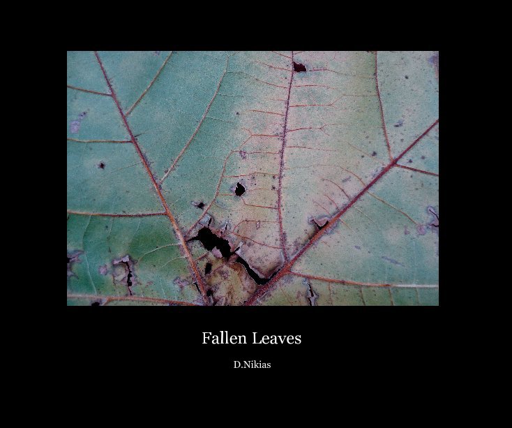 View Fallen Leaves by David Nikias