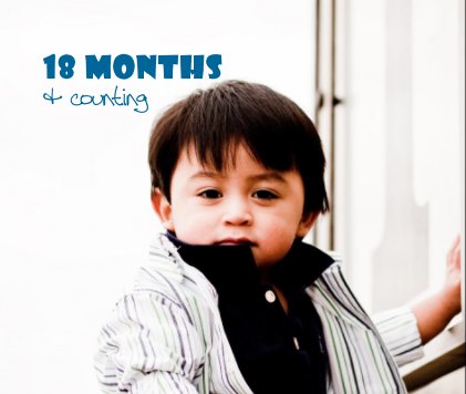 18 months & counting book cover