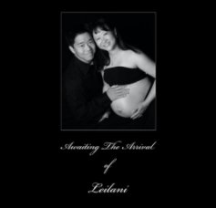 The Chen family book cover