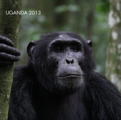 UGANDA 2013 book cover