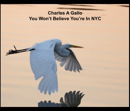 You Won't Believe You're in NYC book cover