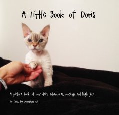 A Little Book of Doris book cover