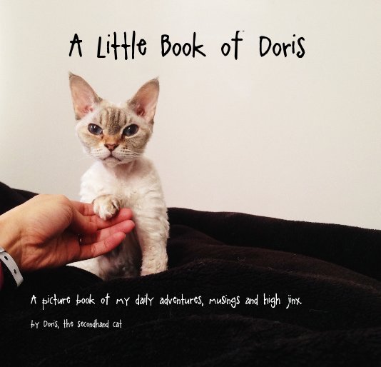 View A Little Book of Doris by Doris, the secondhand cat