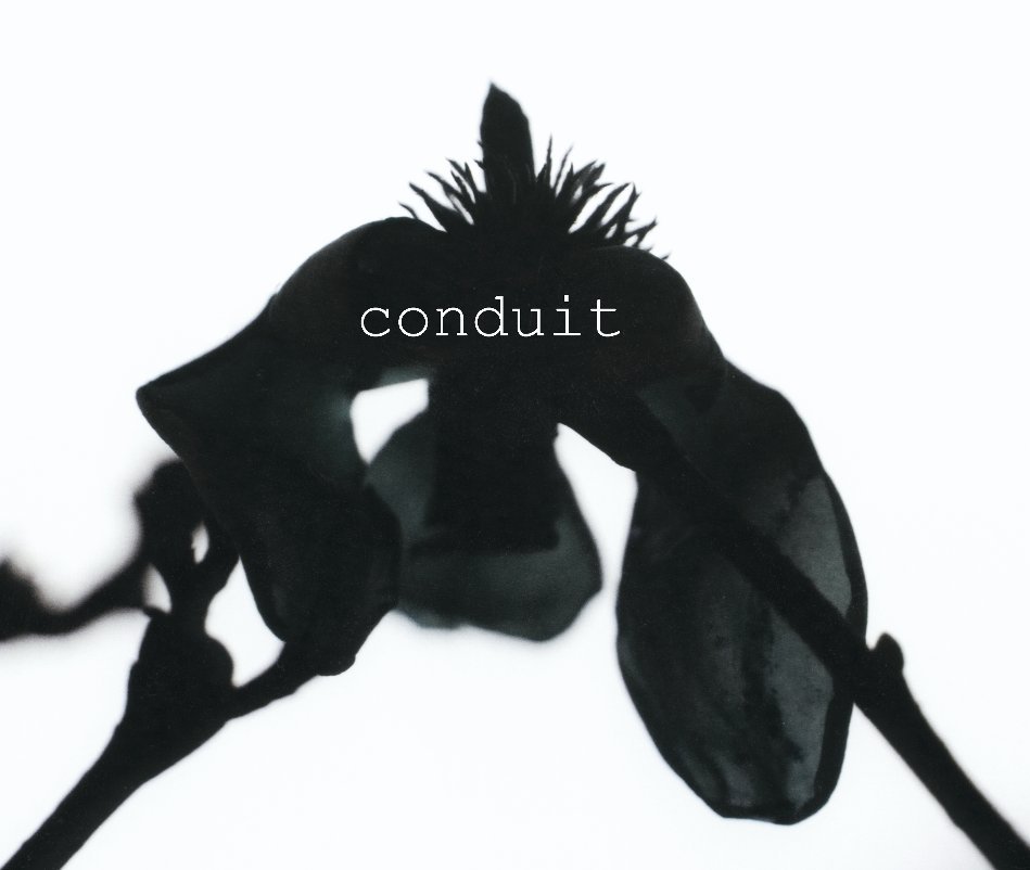 View conduit by babara seidel
