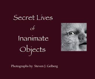 Secret Lives of Inanimate Objects book cover
