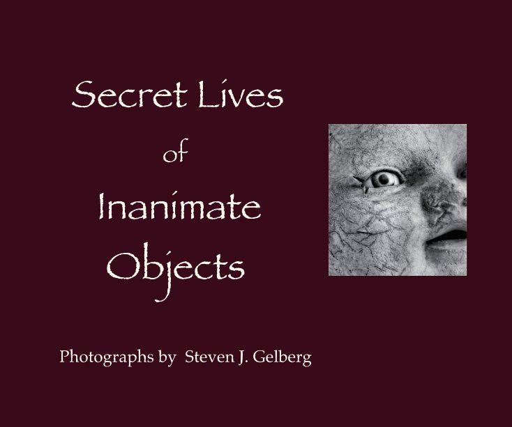 View Secret Lives of Inanimate Objects by Steven J Gelberg