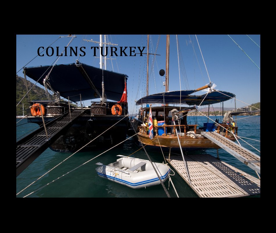 Ver COLINS TURKEY por colin simms