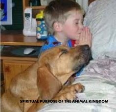 SPIRITUAL PURPOSE OF THE ANIMAL KINGDOM OF THE ANIMAL KINGDOM Editor: Ron E. Kendricks ANIMAL KINGDOM Editor: Ron E. Ke book cover