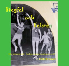 Stegfel och Felsteg book cover
