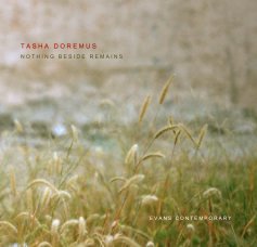TASHA DOREMUS: NOTHING BESIDE REMAINS book cover