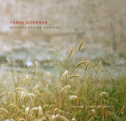 Ver TASHA DOREMUS: NOTHING BESIDE REMAINS por Evans Contemporary & Melanie Almeder