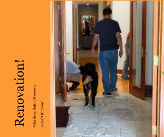 Renovation! book cover