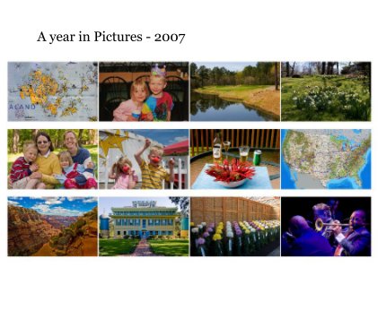 A year in Pictures - 2007 book cover