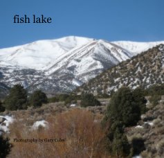 fish lake book cover