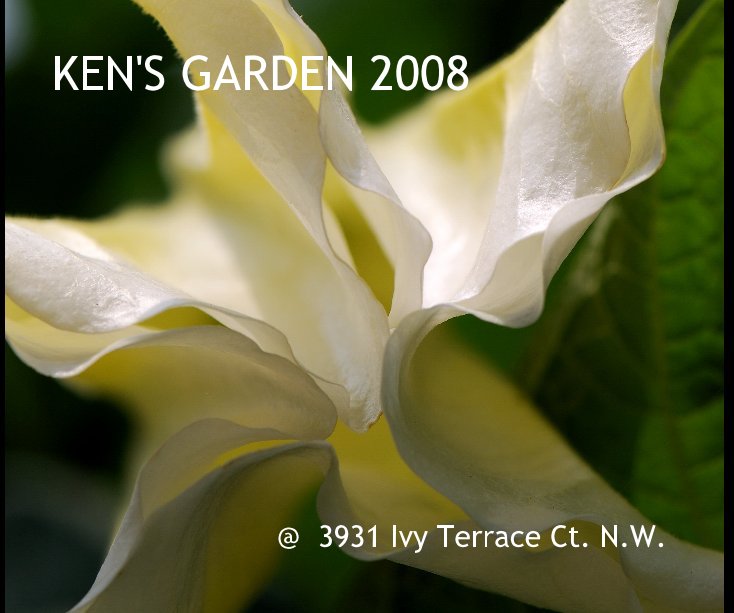 KEN'S GARDEN 2008 @ 3931 Ivy Terrace Ct. N.W. nach Kenneth George anzeigen