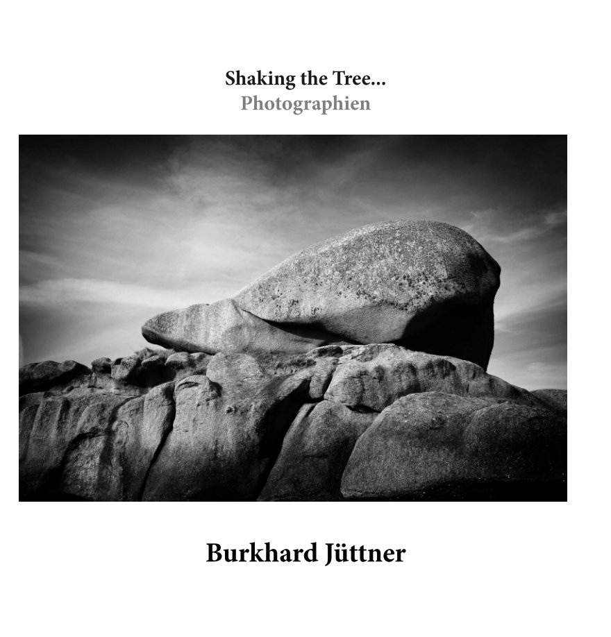 View Shaking the Tree... by Burkhard Jüttner