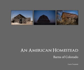An American Homestead book cover