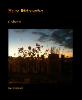 Herz 96dreizehn book cover