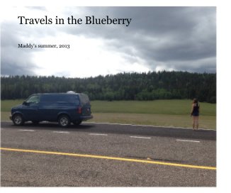 Travels in the Blueberry book cover
