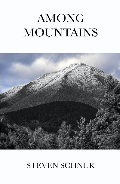 Ver Among Mountains por Steven Schnur