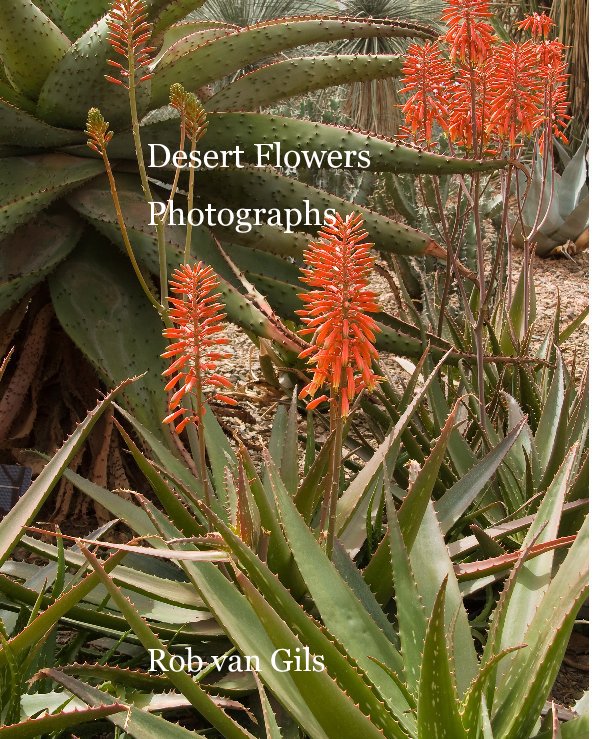 View Desert Flowers Photographs by Rob van Gils