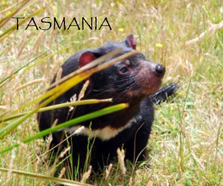 TASMANIA book cover