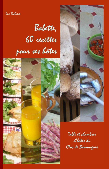 Ver Babette, 60 recettes pour ses hôtes por Luc Dolino