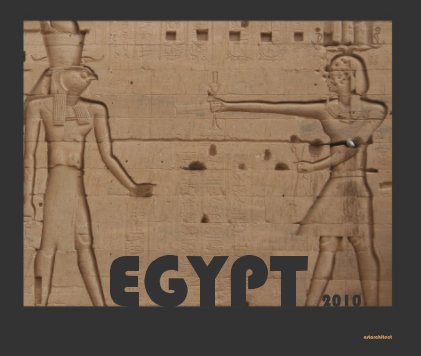 EGYPT 2010 book cover